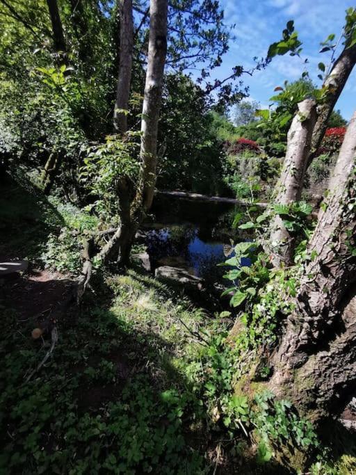 Glan-Yr-Afon Cottage Two Bedrooms Sennybridge Extérieur photo
